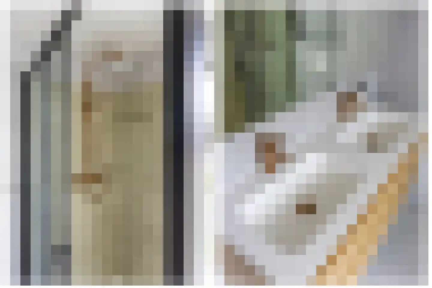 Pallaesstraat 18 Utrecht thumbnail 46