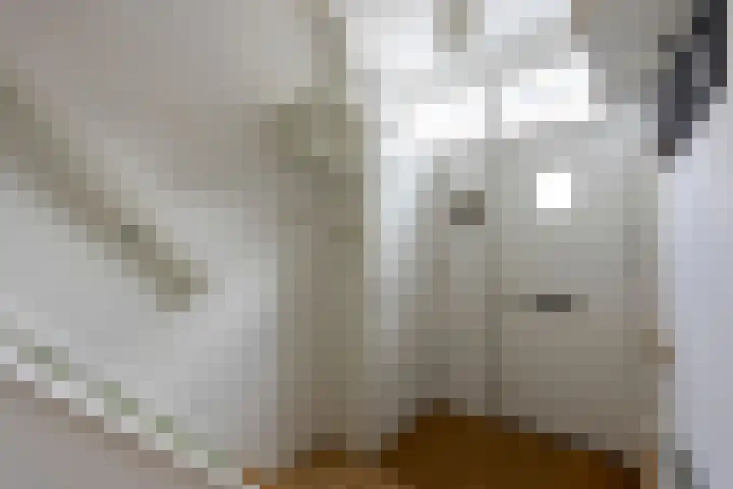 Pallaesstraat 18 Utrecht thumbnail 6