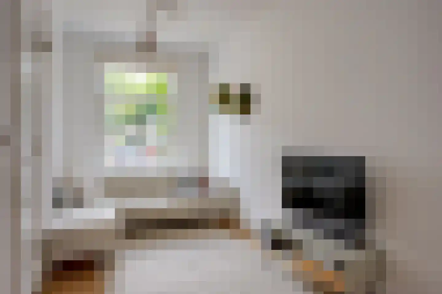 Pallaesstraat 18 Utrecht thumbnail 7