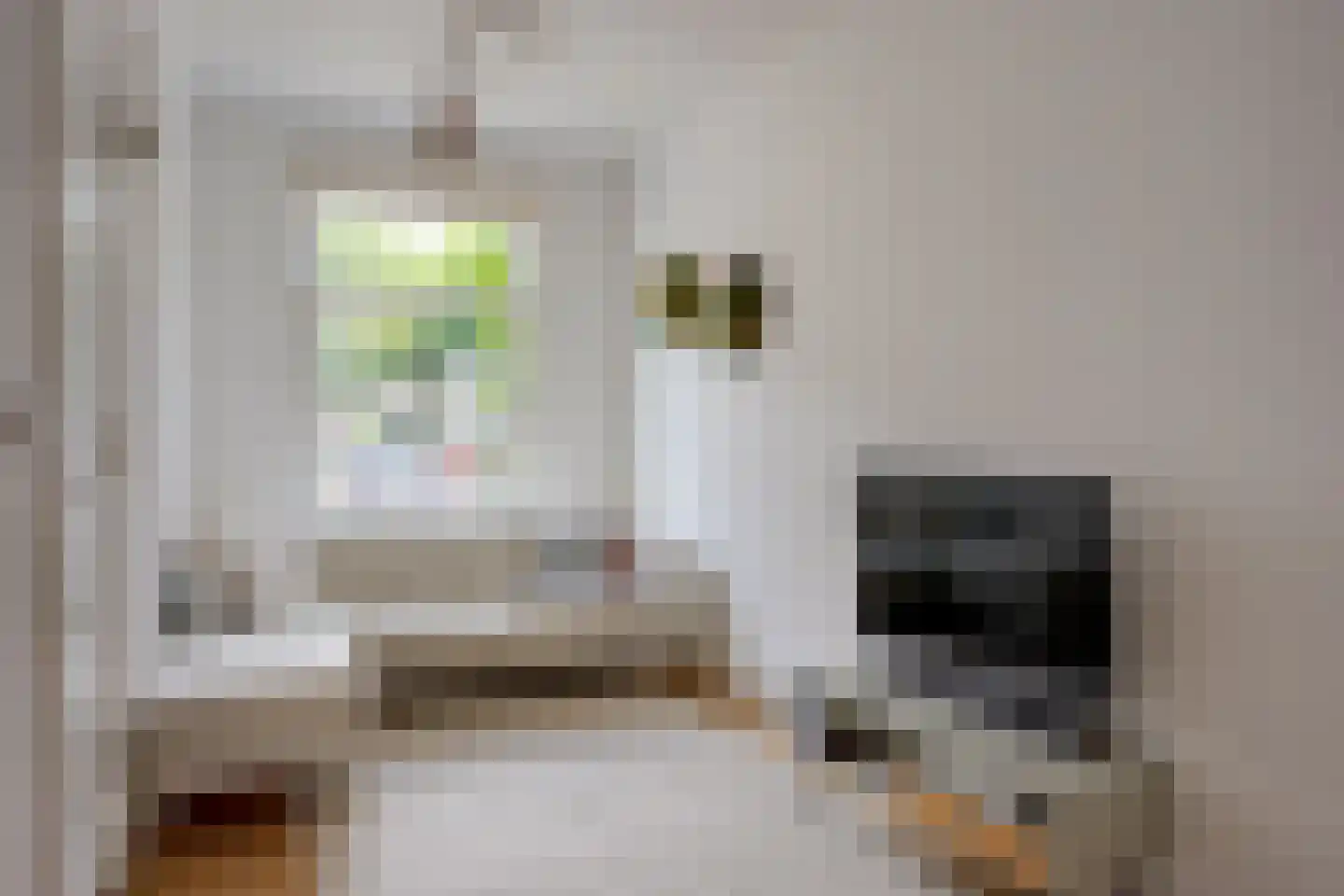 Pallaesstraat 18 Utrecht thumbnail 7