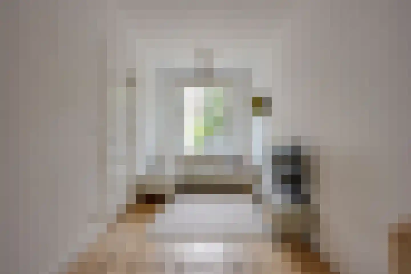 Pallaesstraat 18 Utrecht thumbnail 8