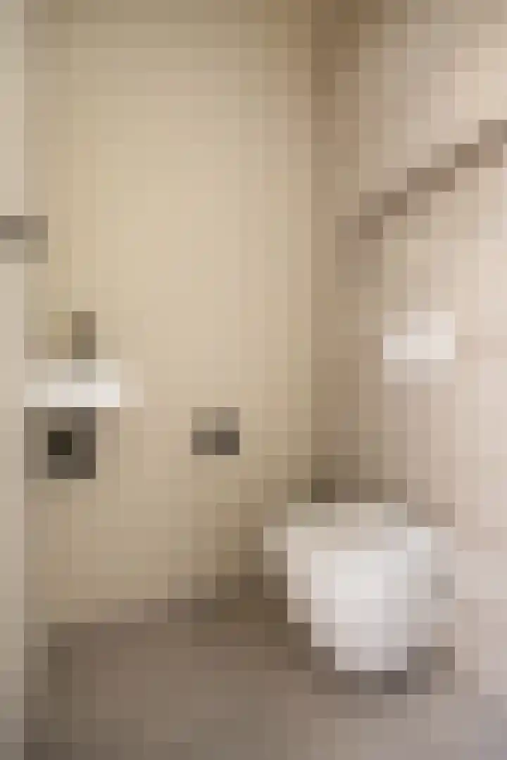 Pallaesstraat 34 BS Utrecht thumbnail 43