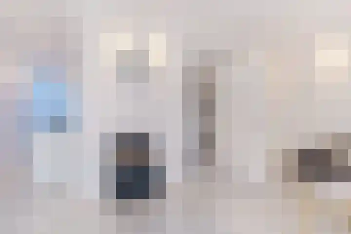 Pallas 21 Hoogezand thumbnail 12