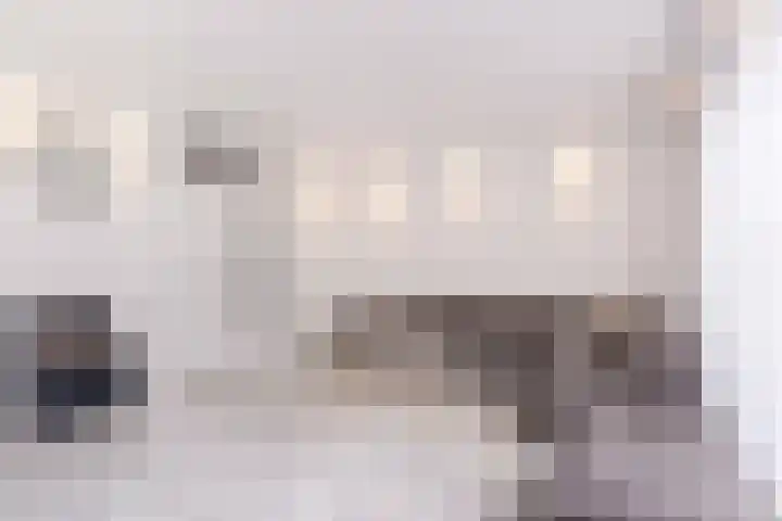 Pallas 21 Hoogezand thumbnail 13