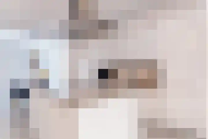 Pallas 21 Hoogezand thumbnail 22