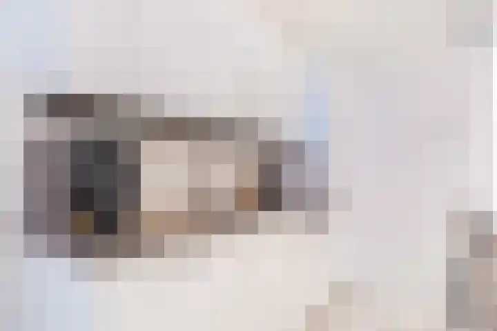 Pallas 21 Hoogezand thumbnail 23