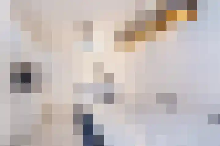 Pallas 21 Hoogezand thumbnail 24