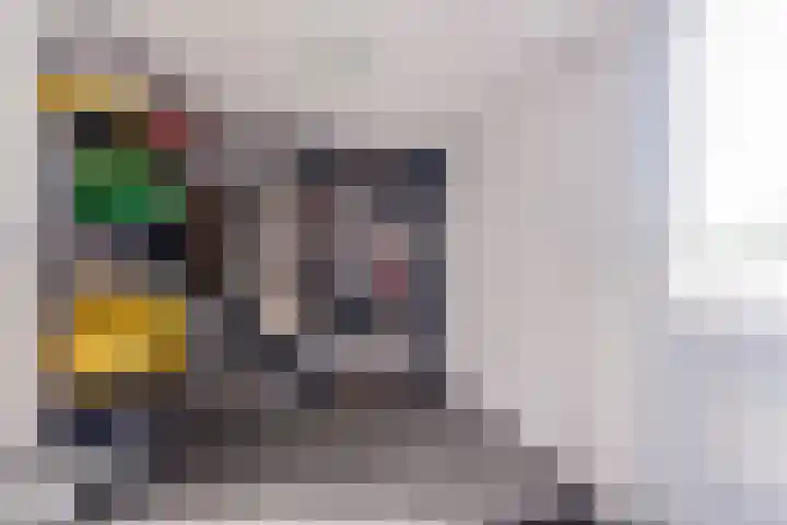 Pallas 21 Hoogezand thumbnail 29