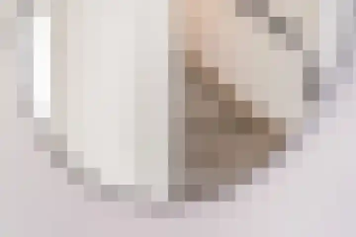Pallas 21 Hoogezand thumbnail 31