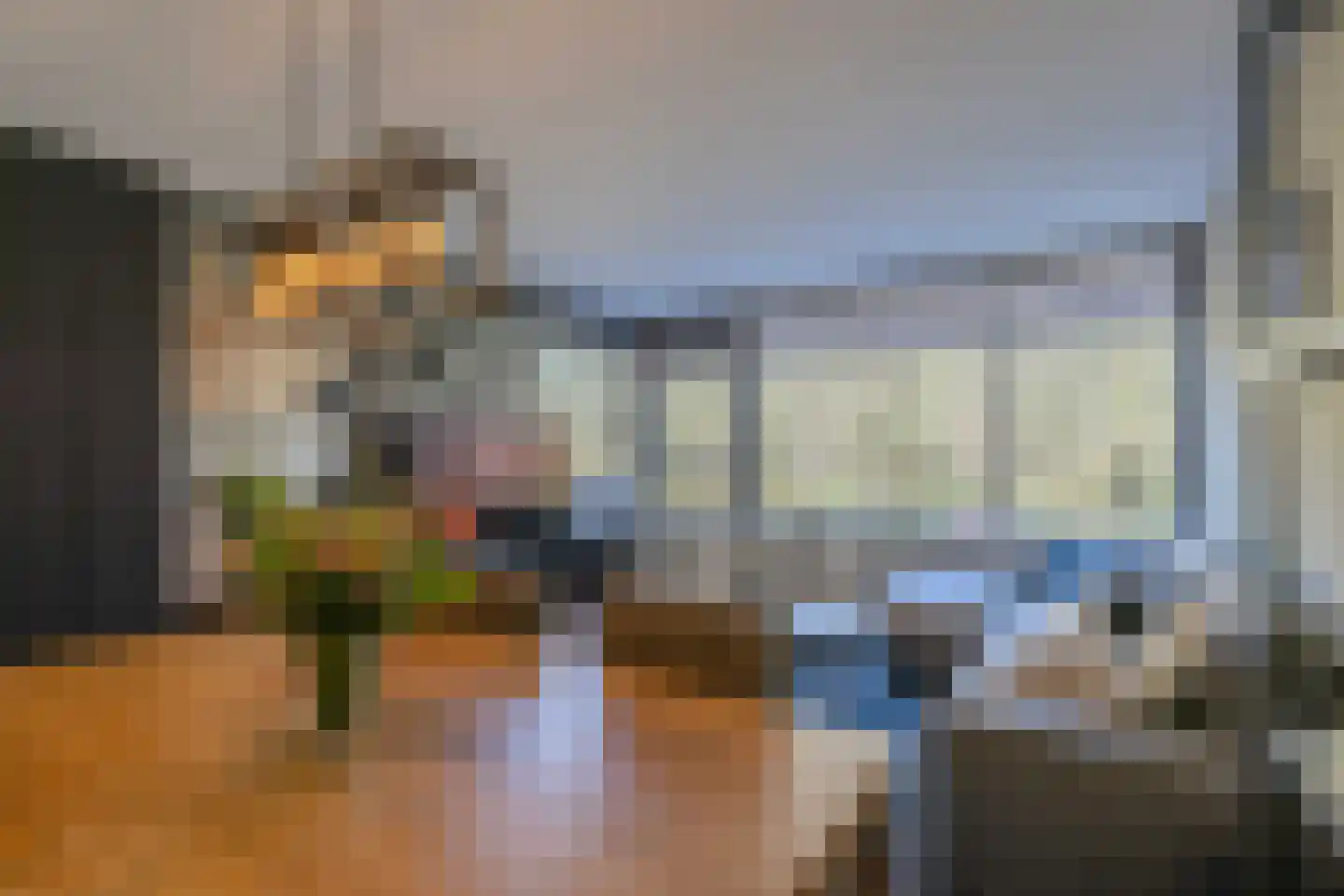 Pallas 22 Katwijk thumbnail 15