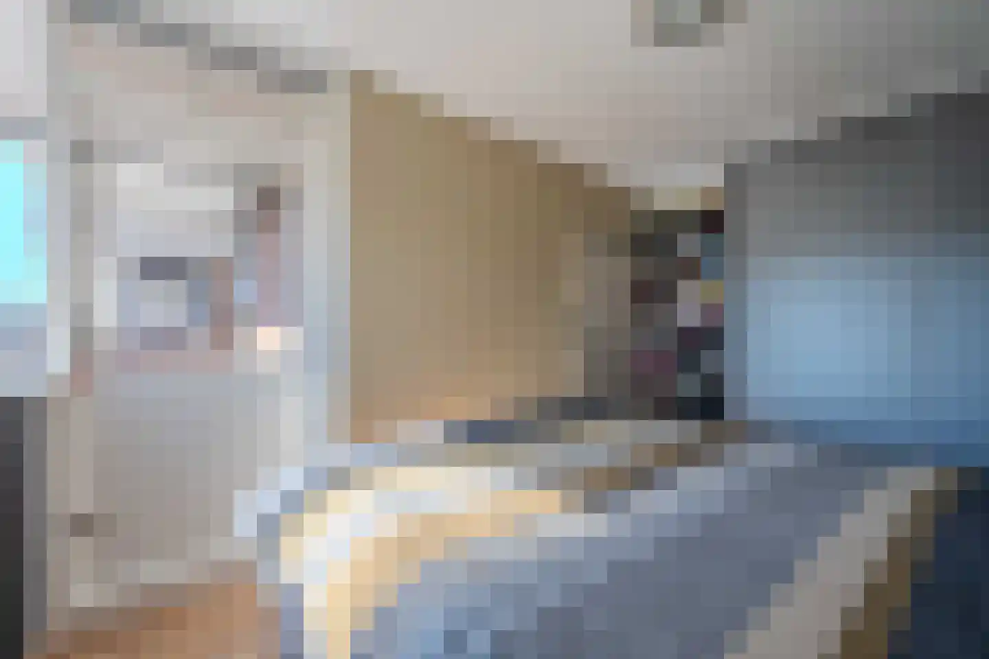 Pallas 22 Katwijk thumbnail 27