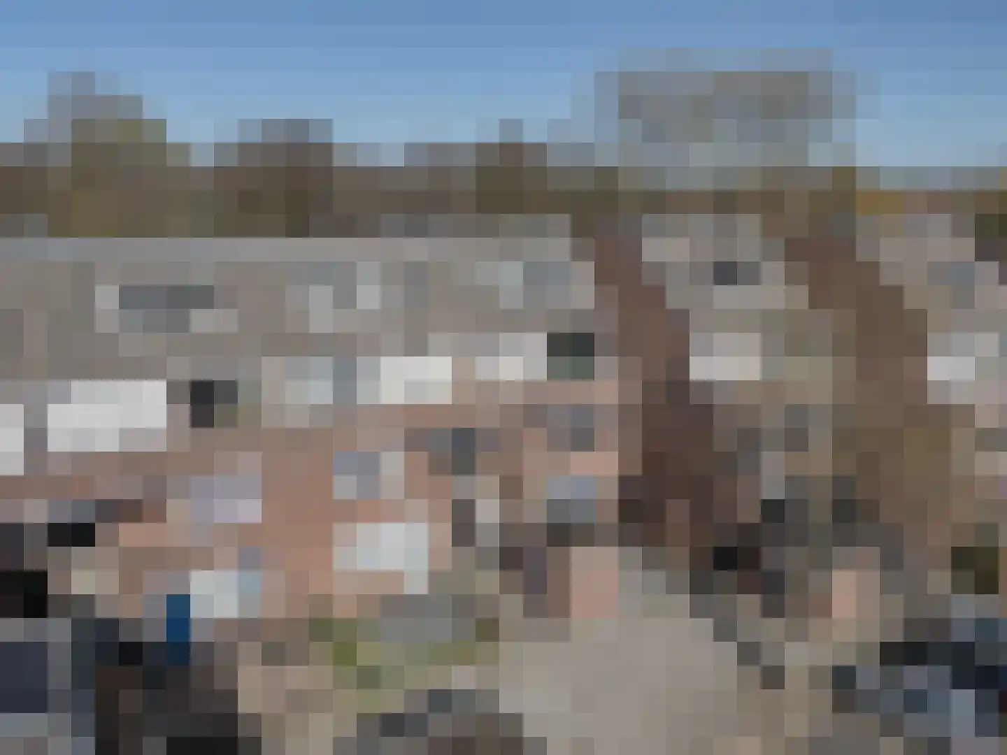 Pallas 22 Katwijk thumbnail 7