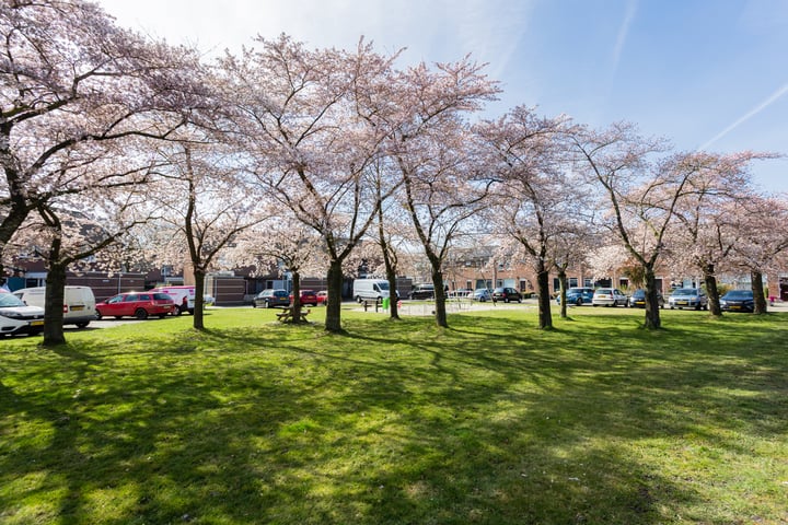 Pallas 23 in Hoogezand