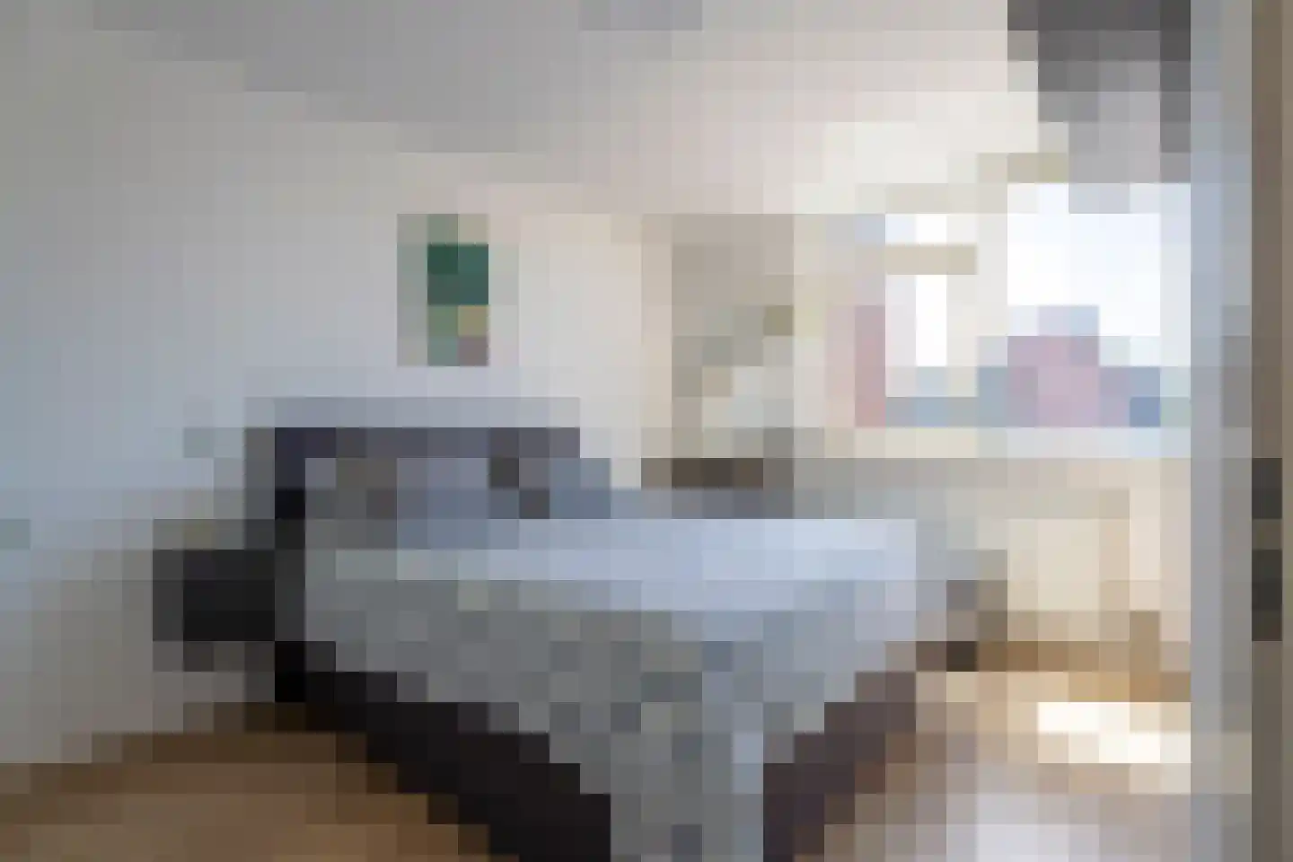 Pallas 31 Katwijk thumbnail 13