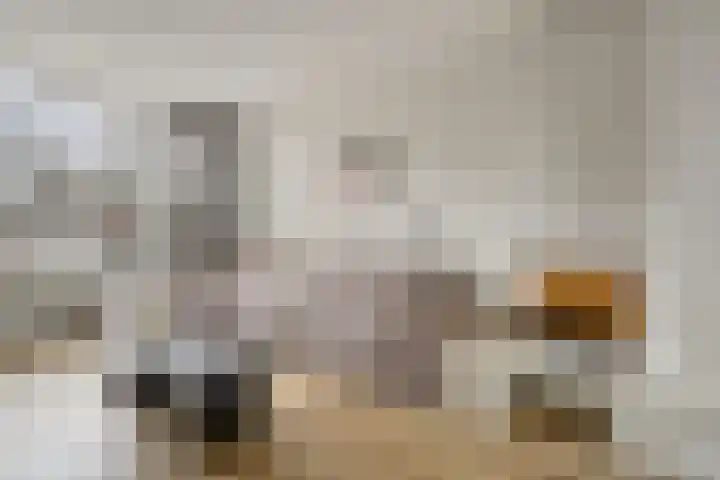 Pallas 32 Katwijk thumbnail 13