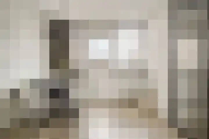 Pallas 32 Katwijk thumbnail 15
