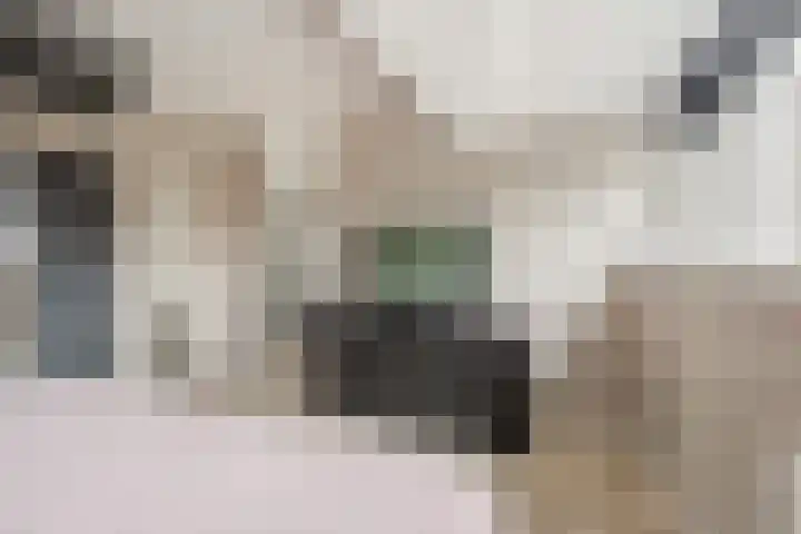 Pallas 32 Katwijk thumbnail 30
