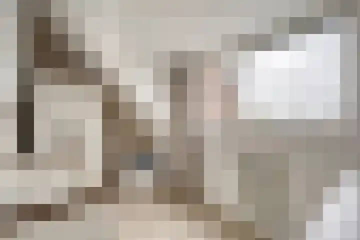 Pallas 32 Katwijk thumbnail 31