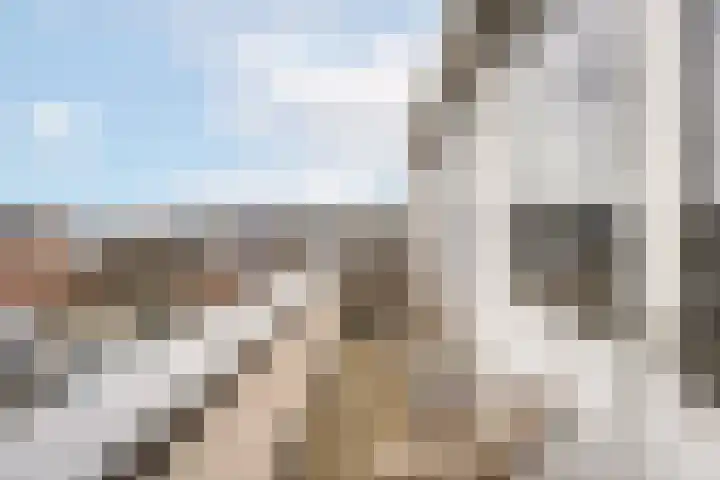 Pallas 32 Katwijk thumbnail 33