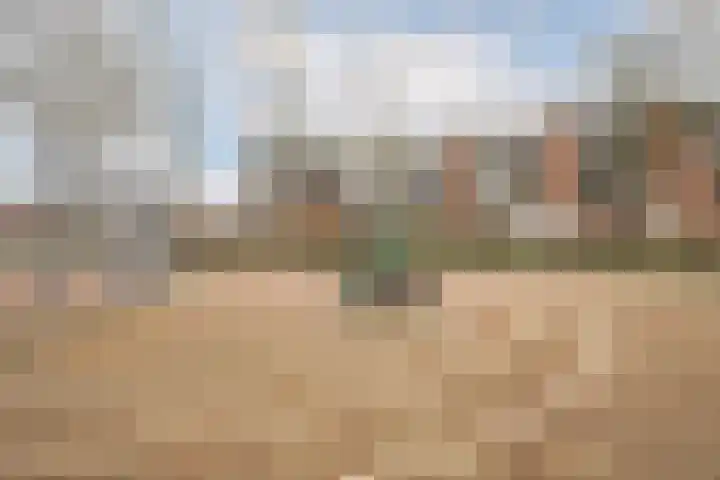 Pallas 32 Katwijk thumbnail 39
