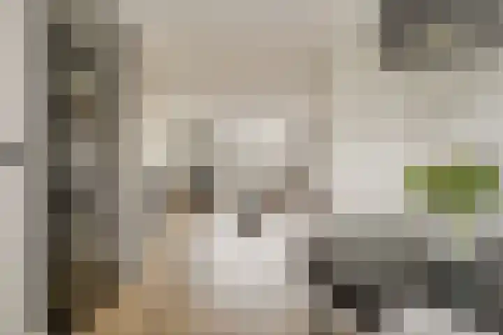 Pallas 32 Katwijk thumbnail 9