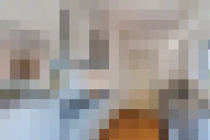 Pallasbaan 2 Franeker thumbnail 16