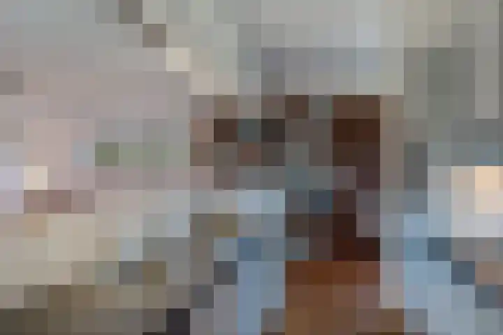 Pallasbaan 2 Franeker thumbnail 17
