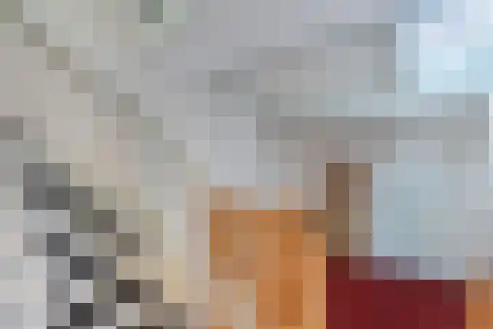 Pallasbaan 2 Franeker thumbnail 24