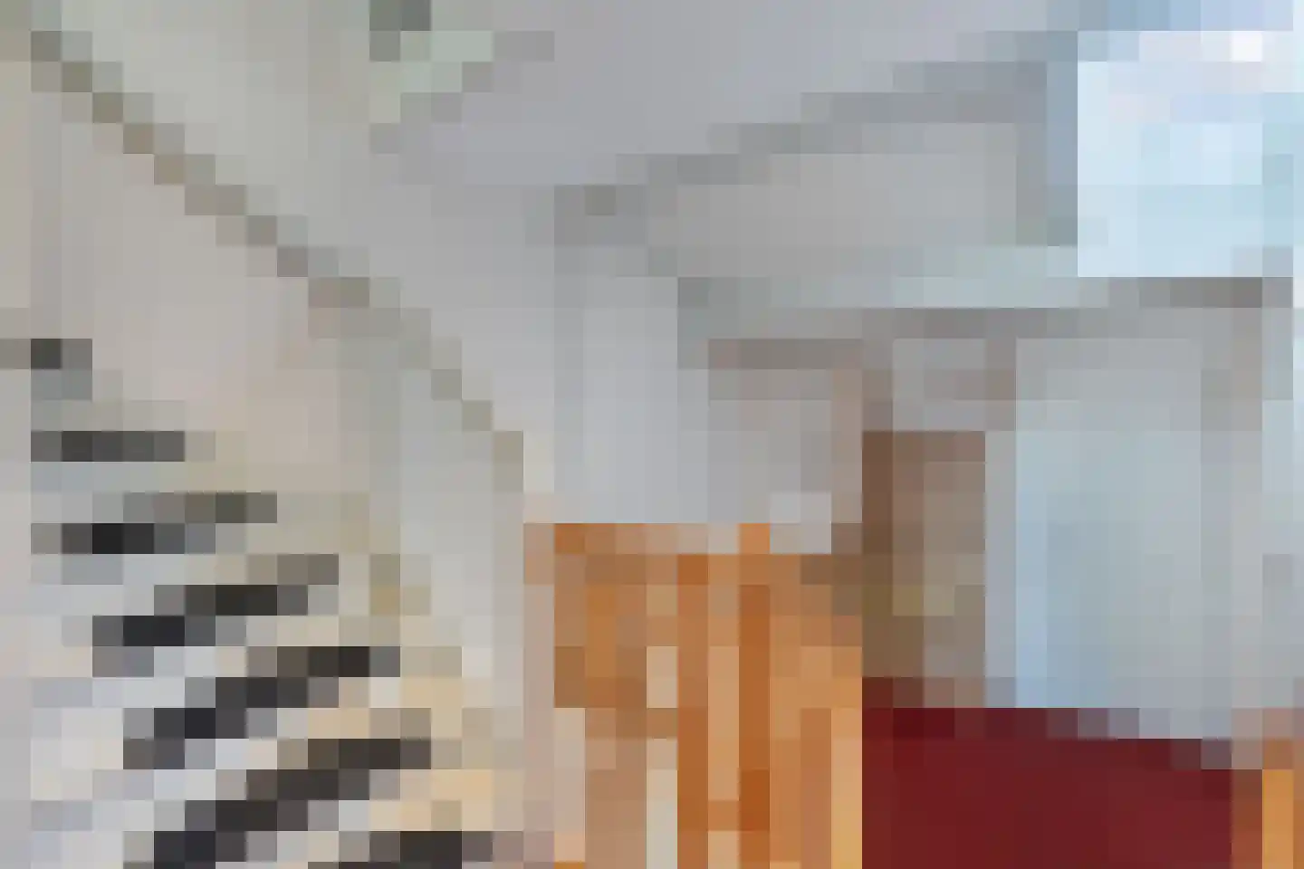 Pallasbaan 2 Franeker thumbnail 24