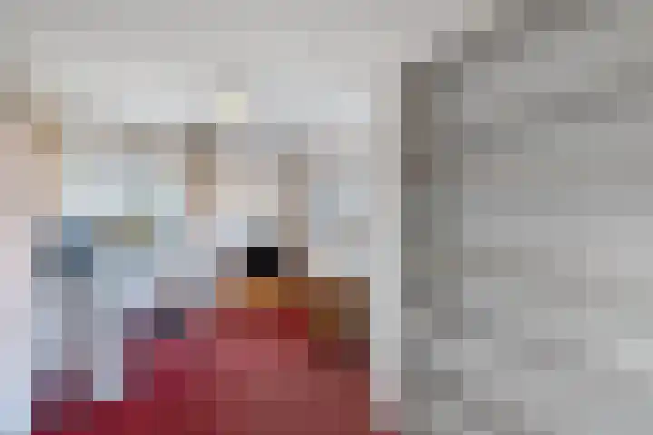 Pallasbaan 2 Franeker thumbnail 27