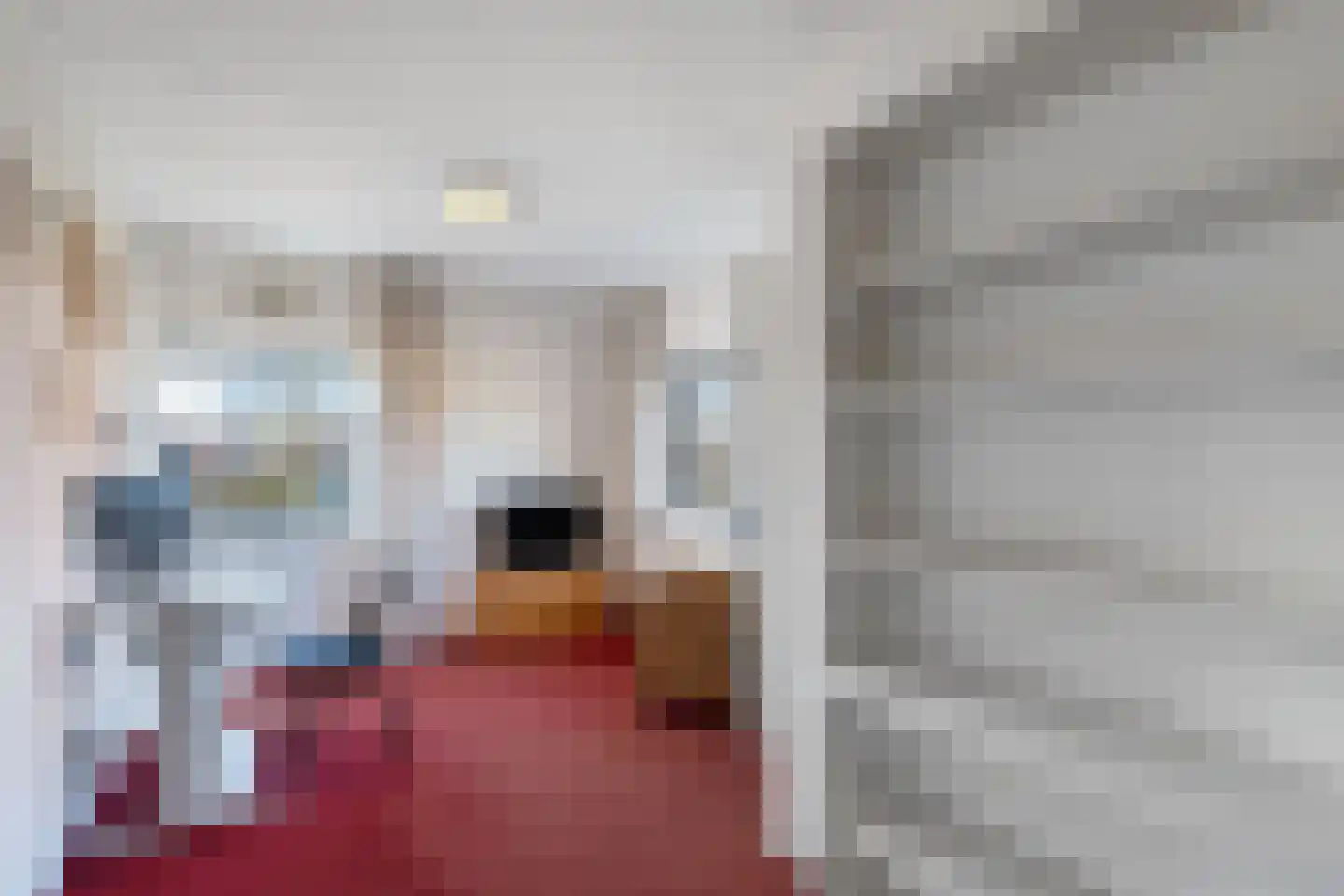 Pallasbaan 2 Franeker thumbnail 27