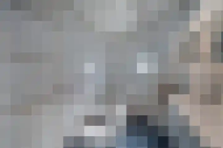 Pallasbaan 2 Franeker thumbnail 29