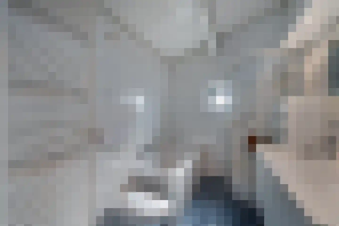 Pallasbaan 2 Franeker thumbnail 29