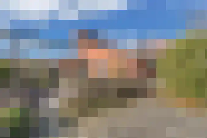 Pallasbaan 2 Franeker thumbnail 36