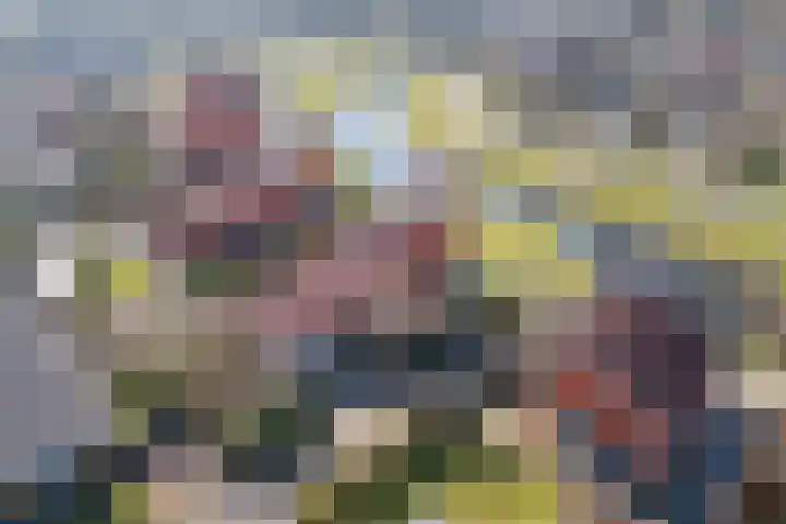 Pallasbaan 2 Franeker thumbnail 41
