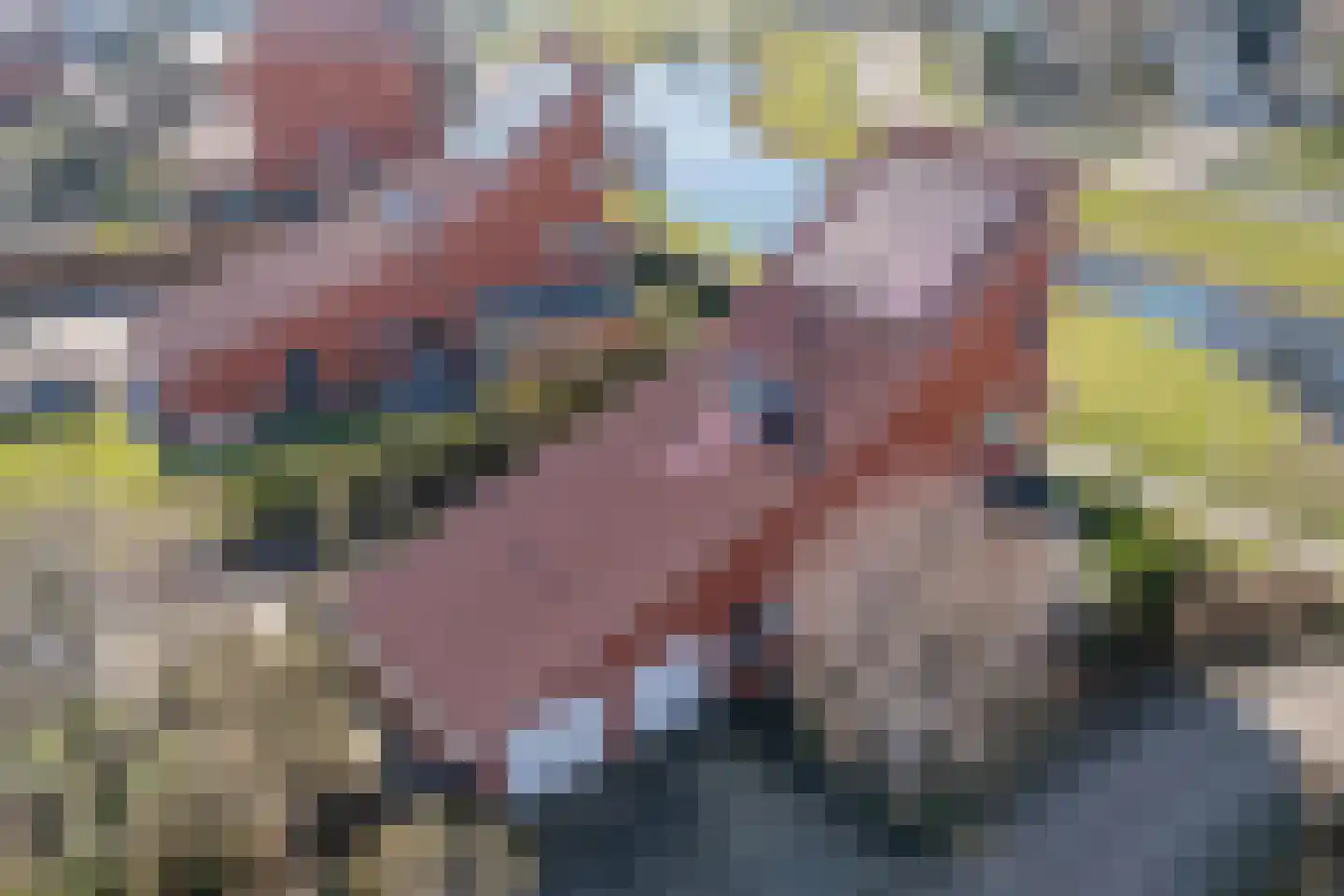 Pallasbaan 2 Franeker thumbnail 6