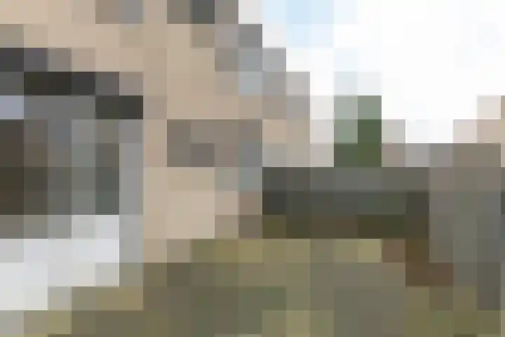 Pallashof 22 Brunssum thumbnail 17