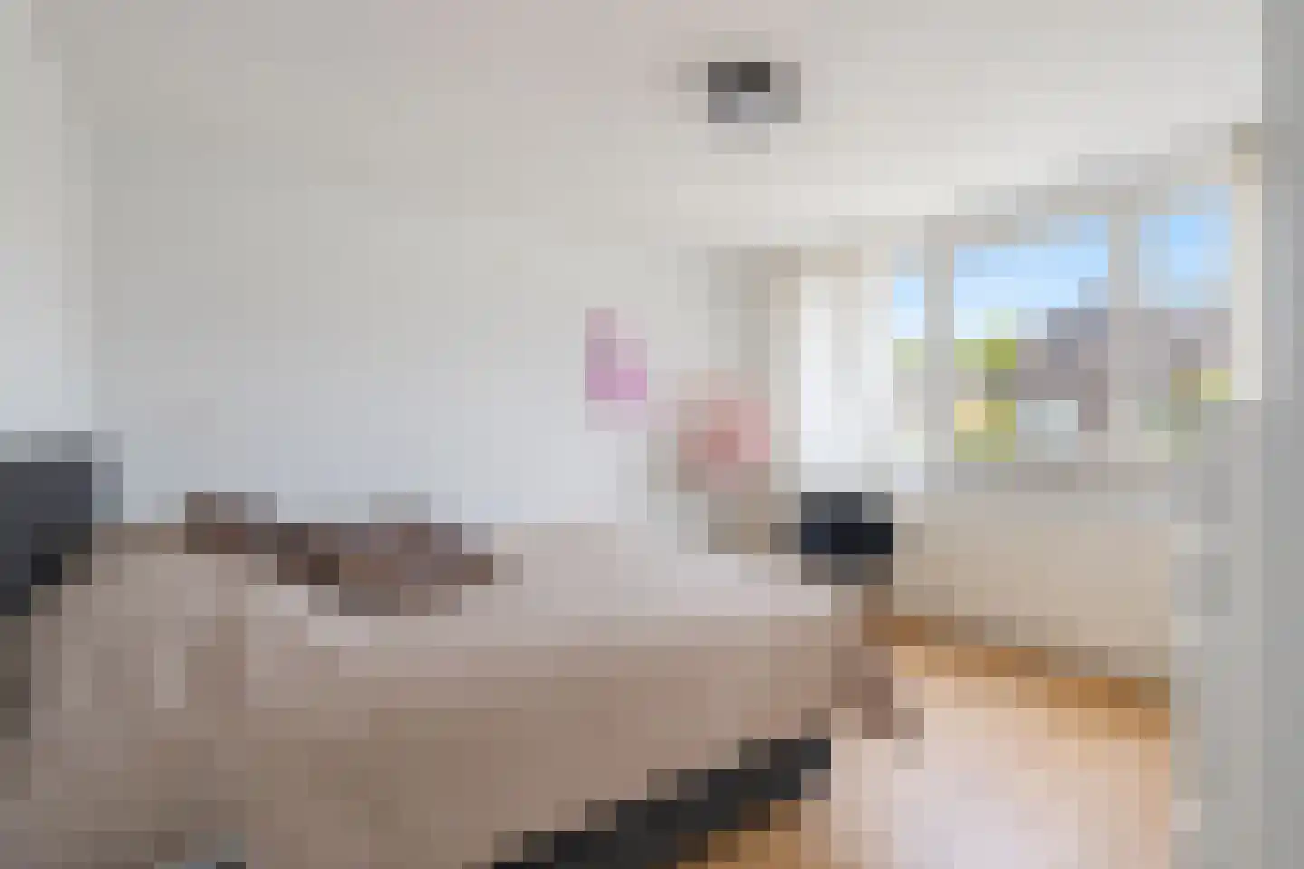 Pallashof 24 Maastricht thumbnail 12