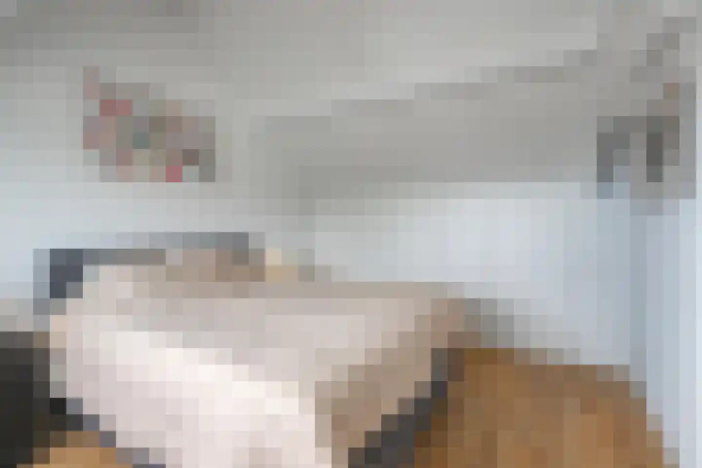 Pallashof 24 Maastricht thumbnail 18