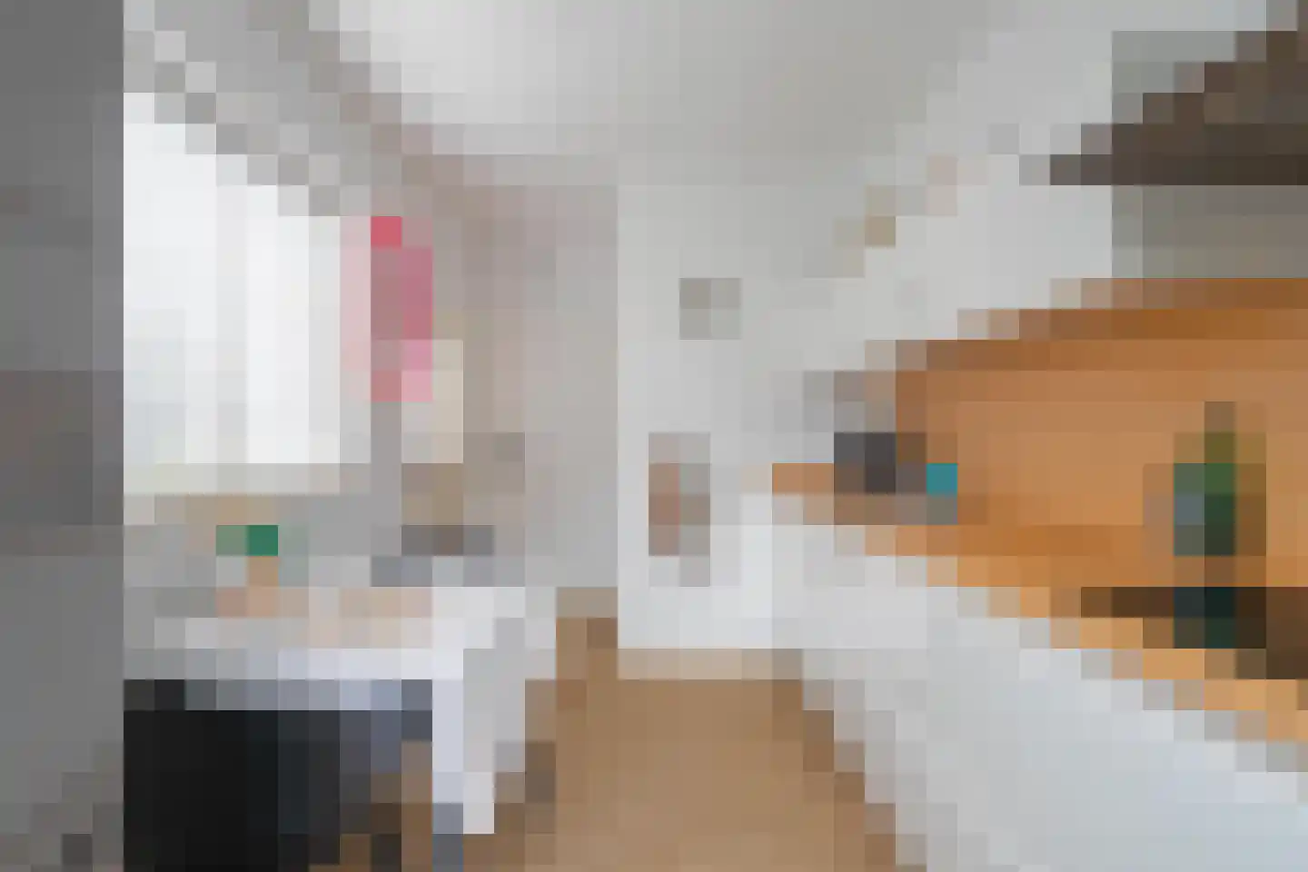 Pallashof 24 Maastricht thumbnail 8
