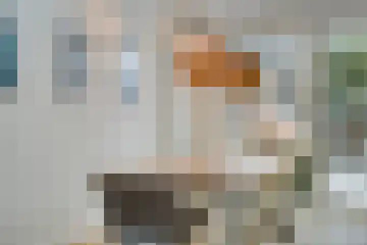 Pallashof 26 Maastricht thumbnail 11