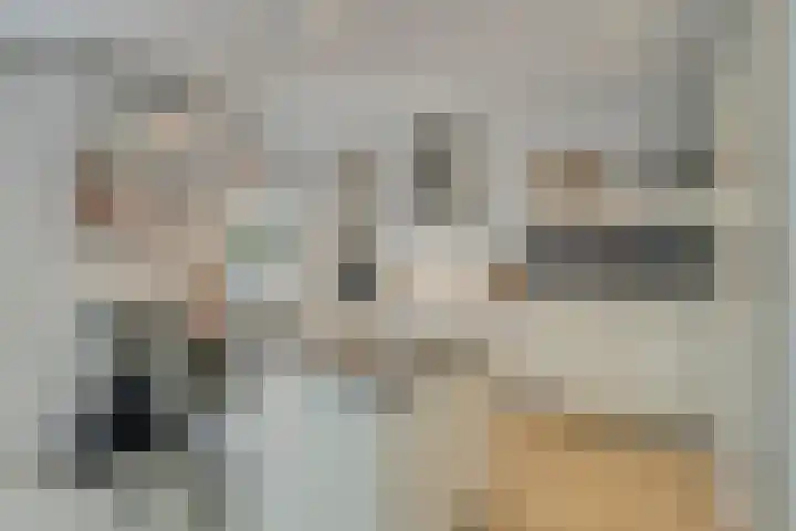 Pallashof 26 Maastricht thumbnail 13