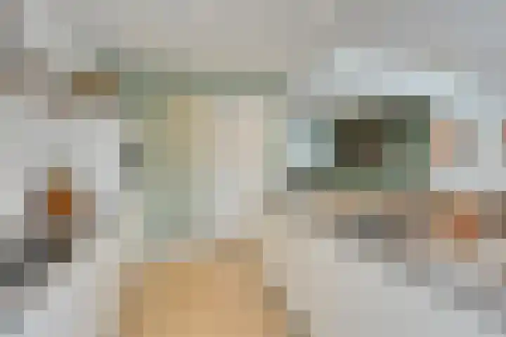 Pallashof 26 Maastricht thumbnail 14