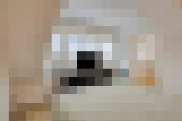 Pallashof 26 Maastricht thumbnail 31
