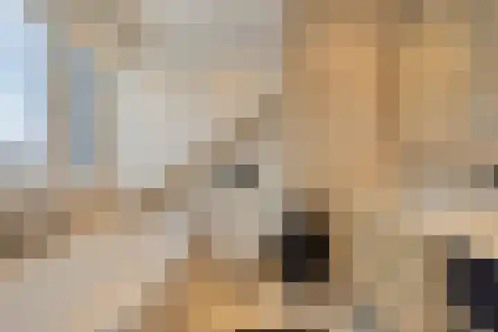 Pallashof 26 Maastricht thumbnail 32