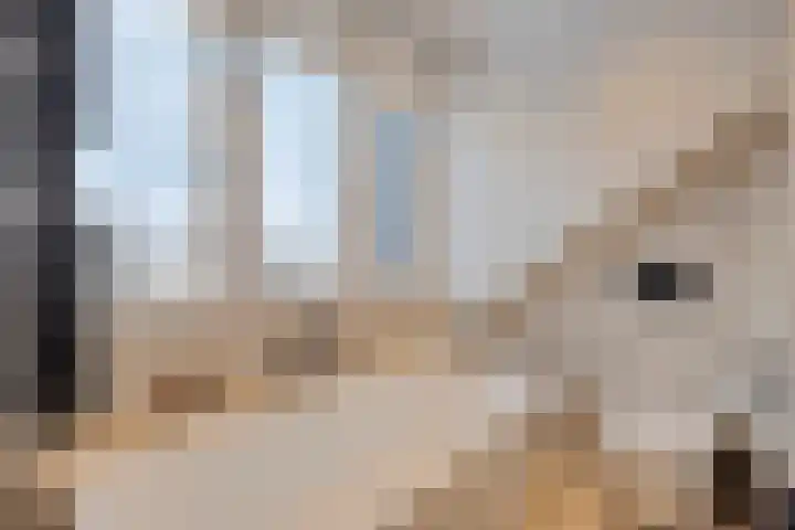 Pallashof 26 Maastricht thumbnail 33
