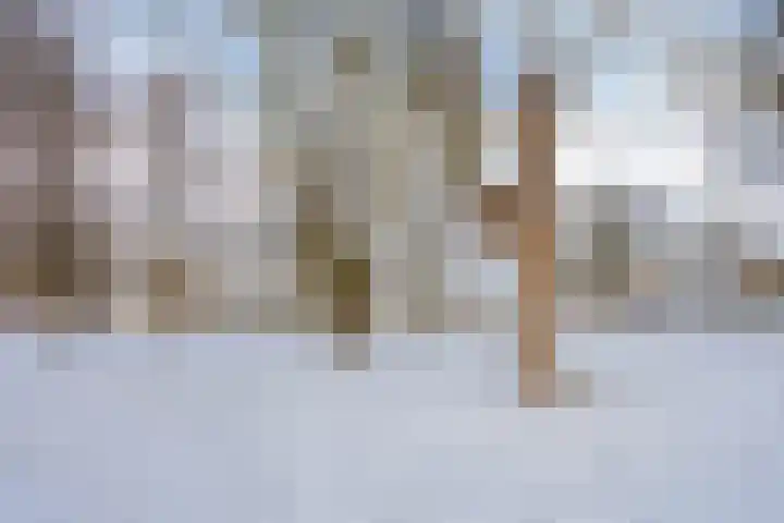 Pallashof 26 Maastricht thumbnail 38