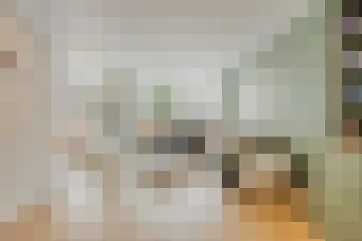 Pallashof 26 Maastricht thumbnail 5