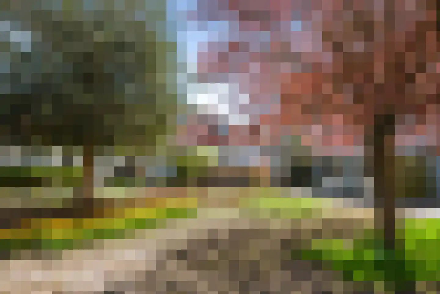 Pallasstraat 1 Haarlem thumbnail 21