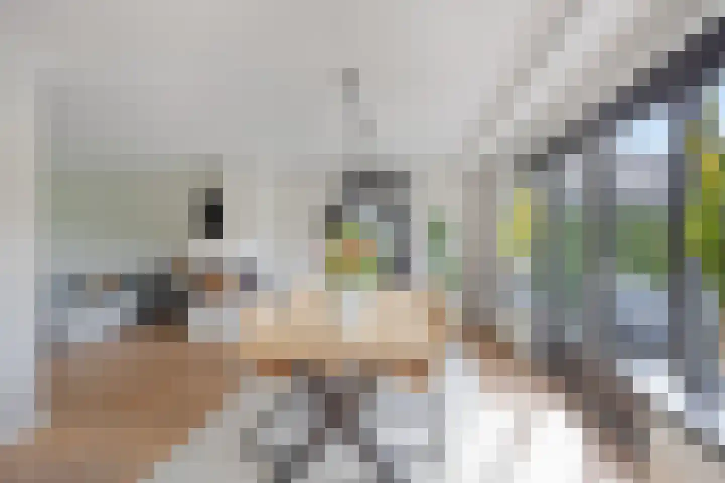 Pallasstraat 1 Oudorp thumbnail 19